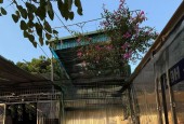 Cho thuê mặt bằng kinh doanh Phố Định Công Hạ 60m2, 3 tầng, 15 Triệu